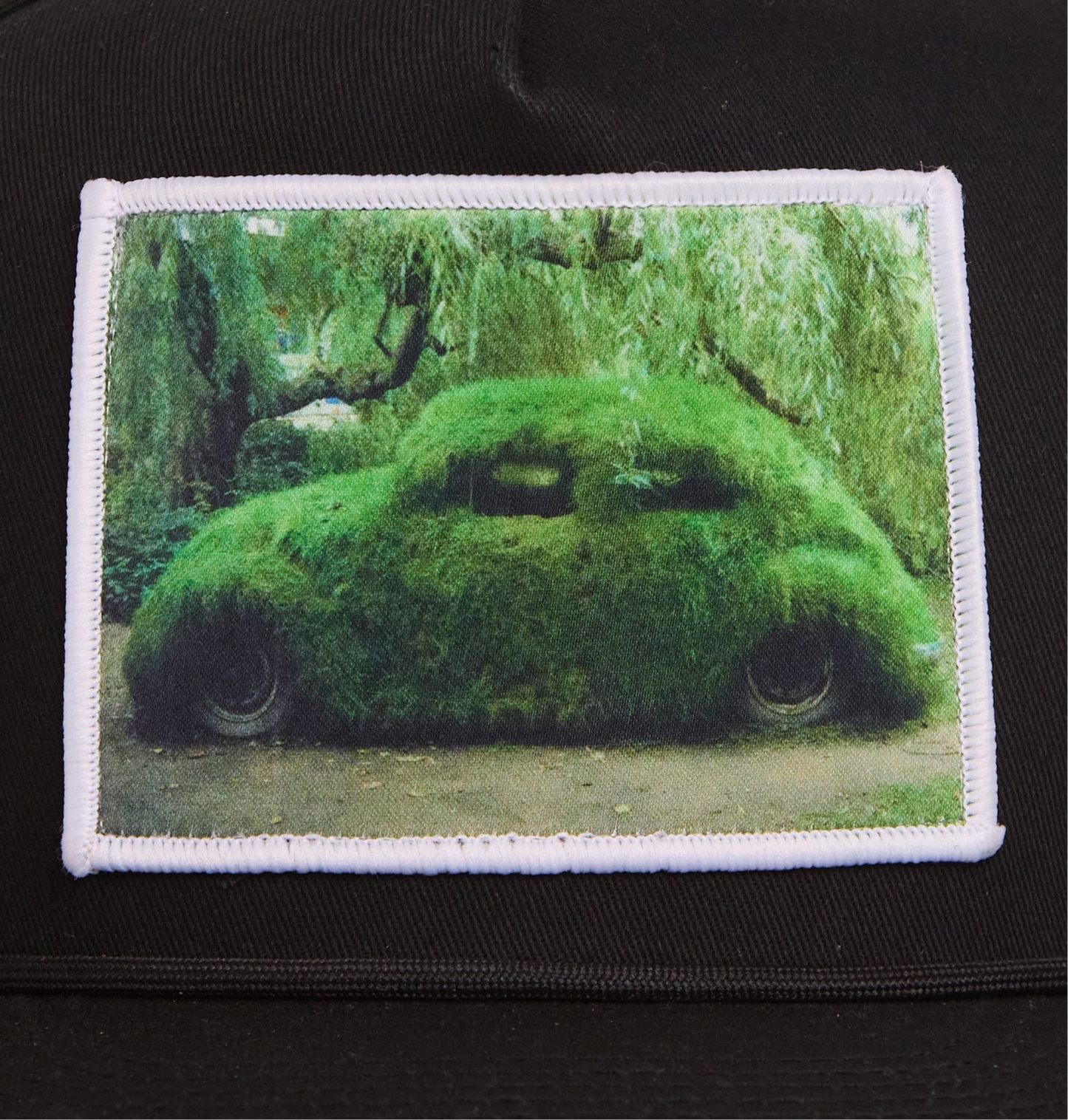 Grassy Love Bug