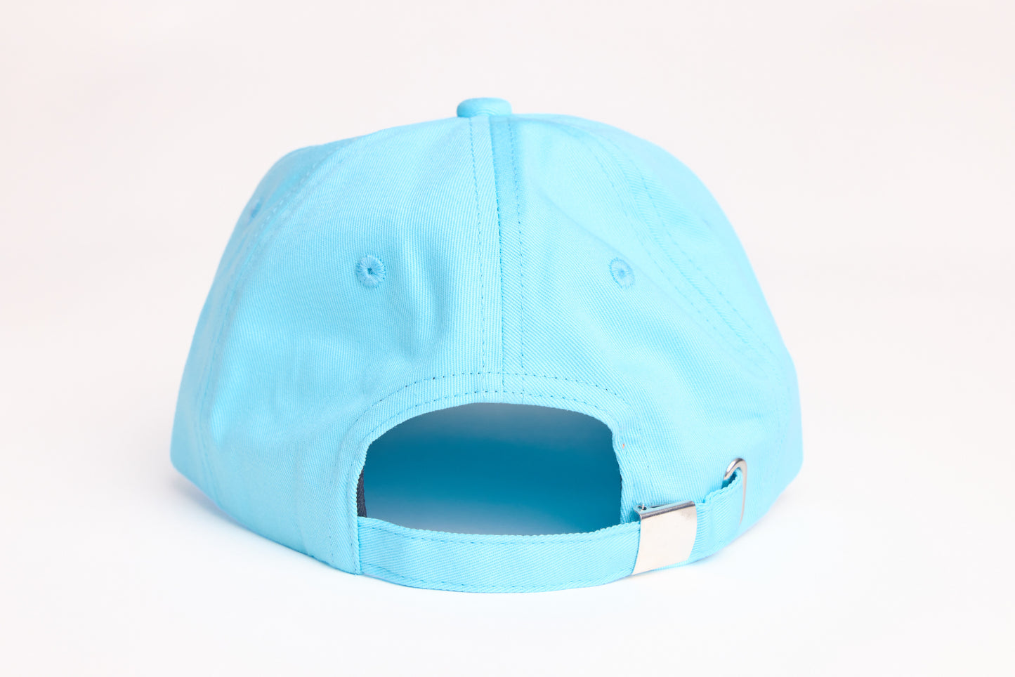 Hummingbird (Dad Hat)