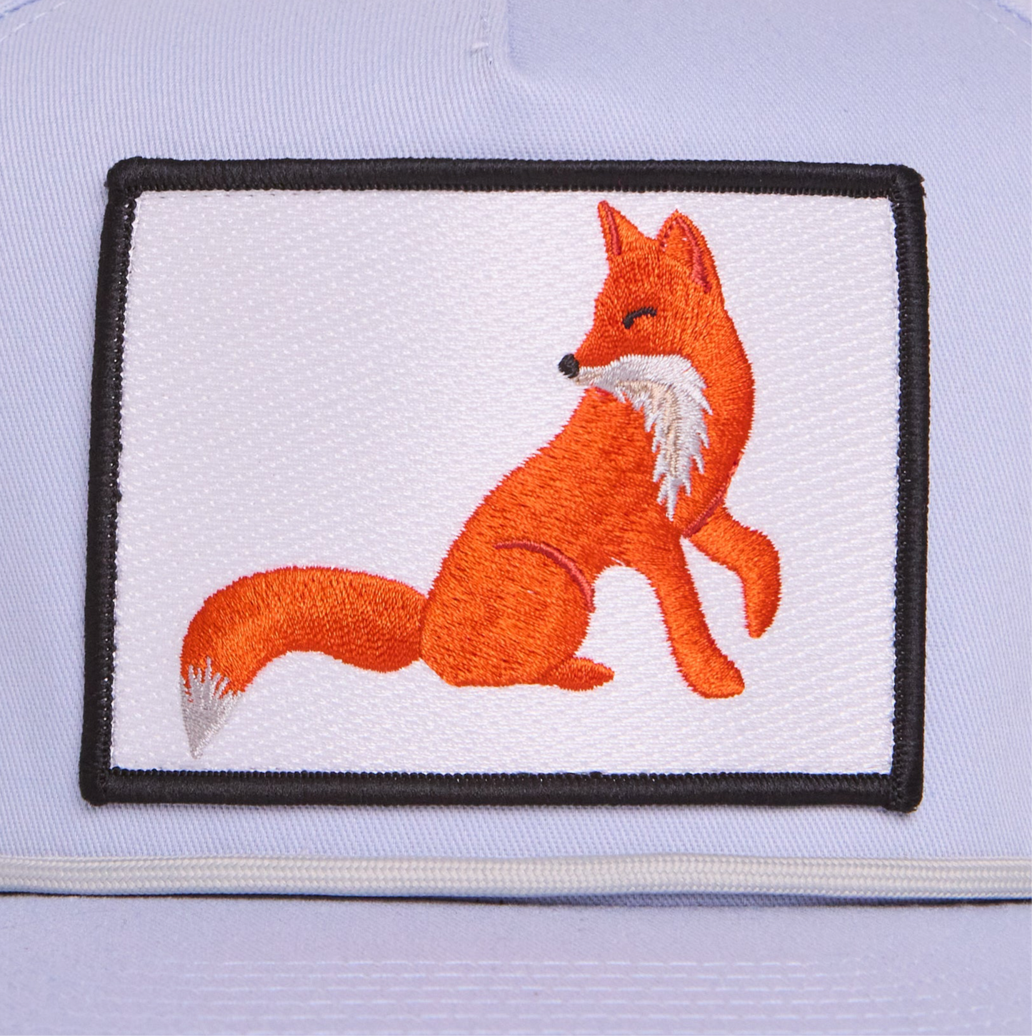 Fox in Profile