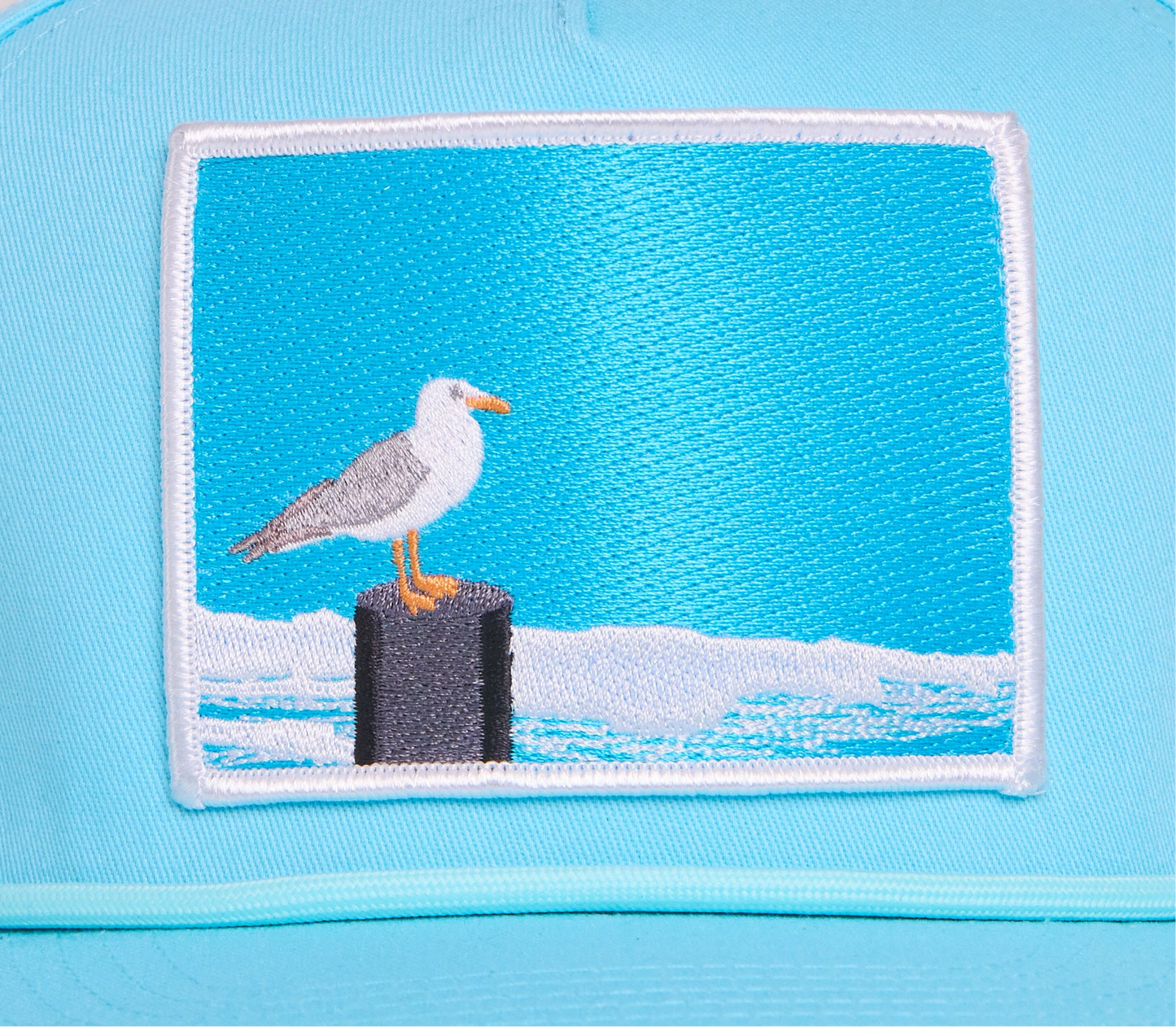 Seagull