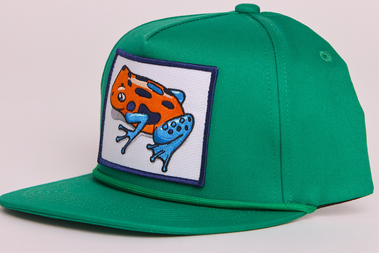 Poison Dart Frog
