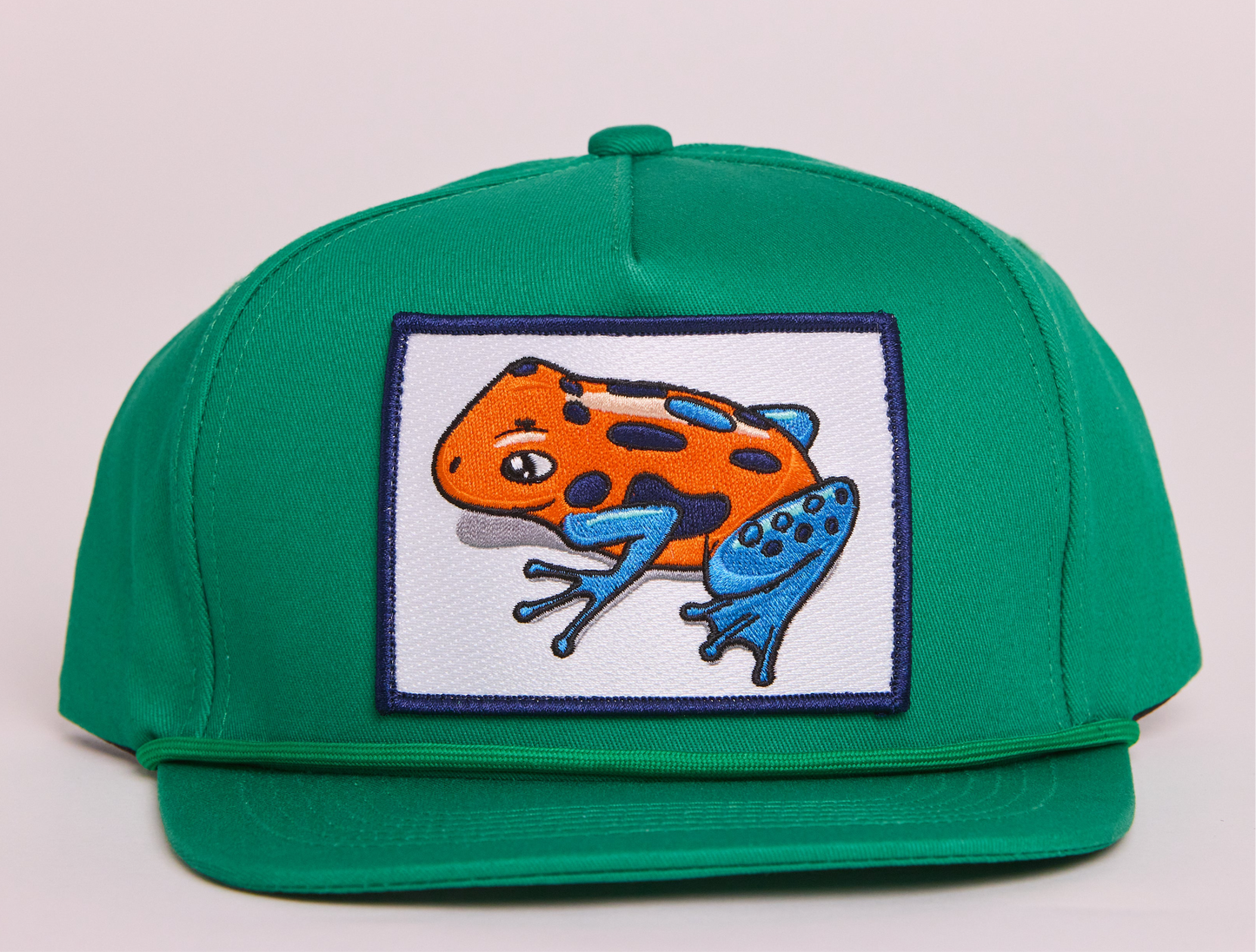 Poison Dart Frog