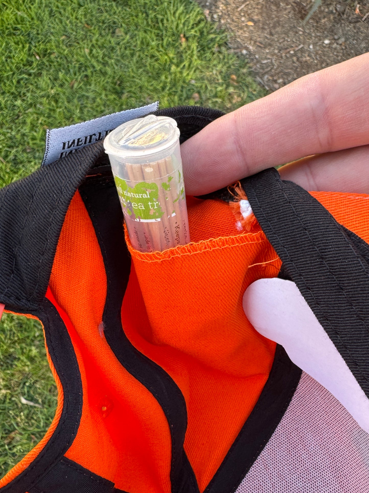 Bears - Greatness '85