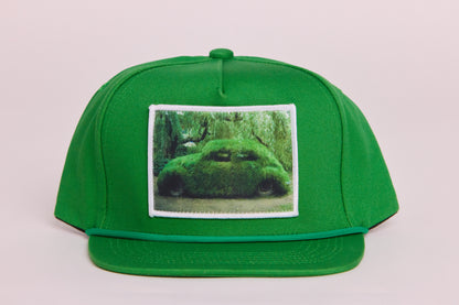 Grassy Love Bug