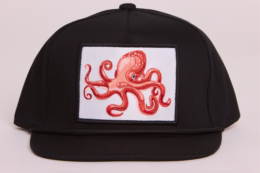Octopus