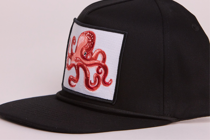 Octopus