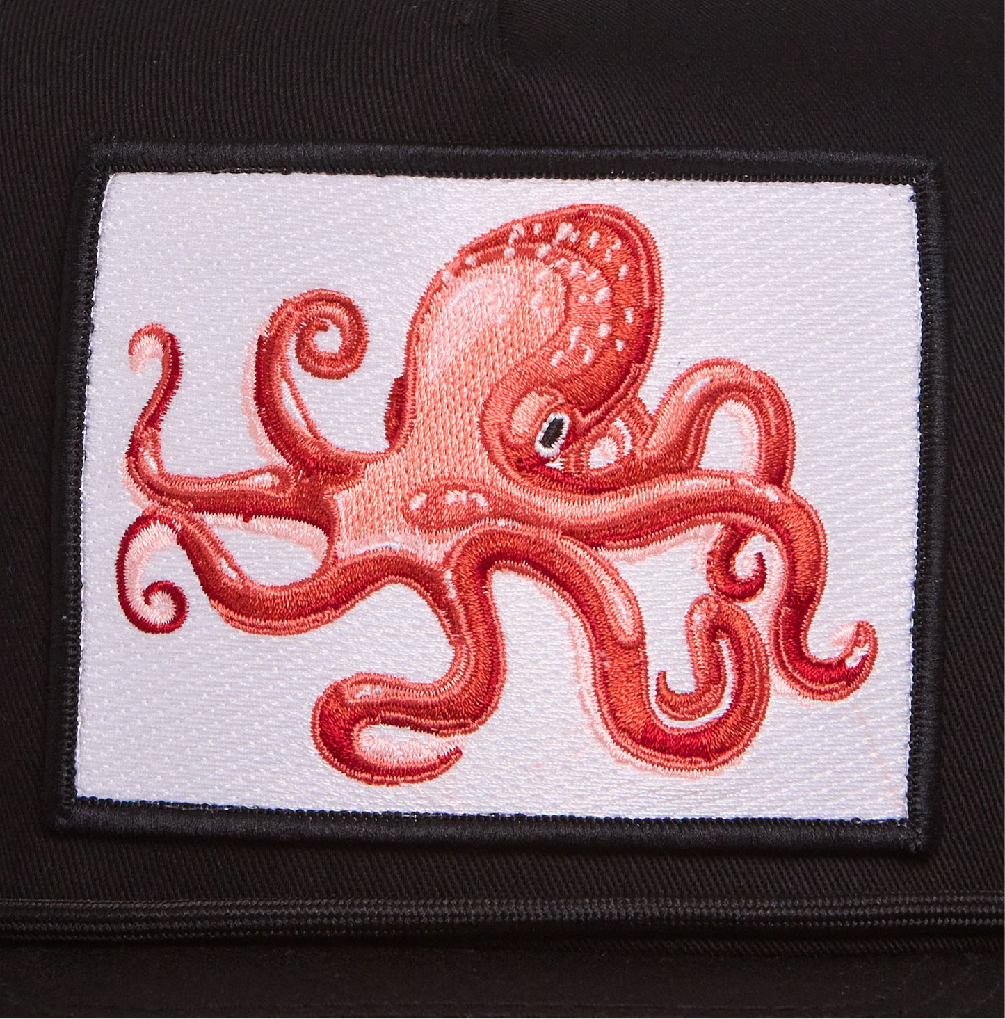 Octopus