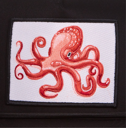 Octopus