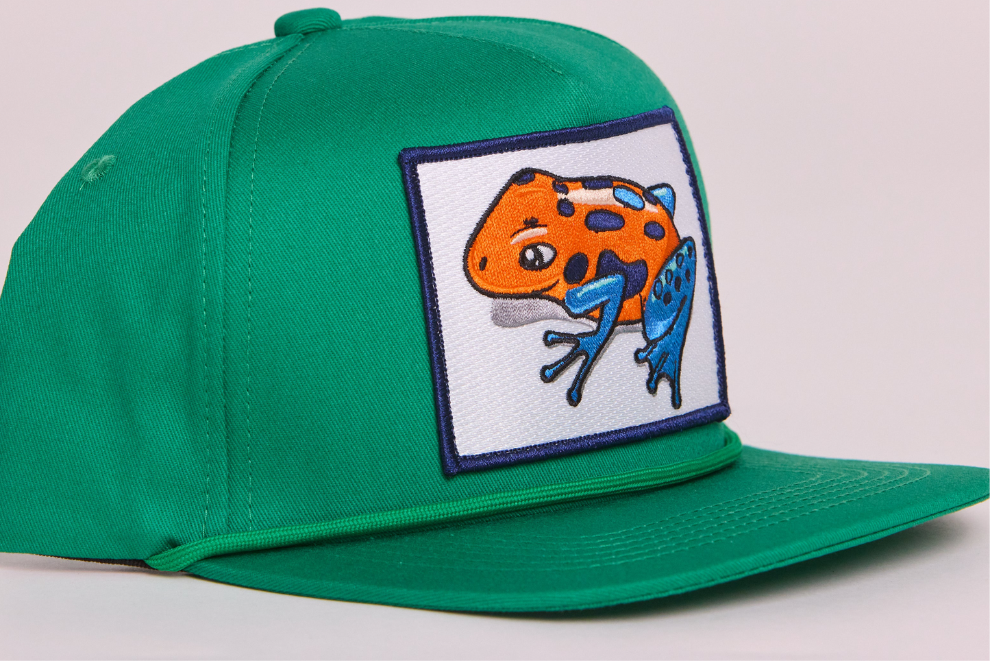 Poison Dart Frog