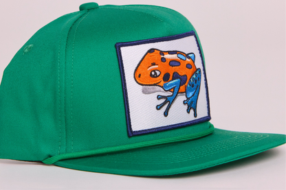Poison Dart Frog