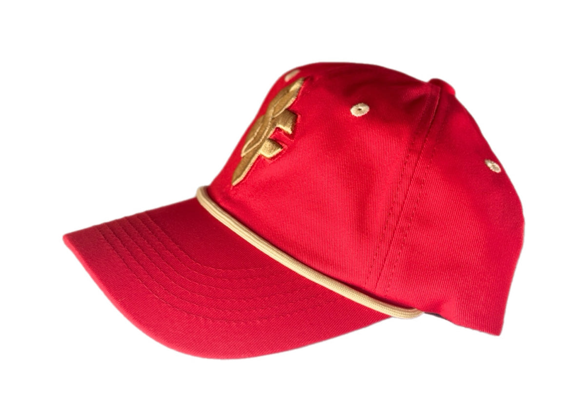 SF -Cool S - San Francisco (Dad Hat)