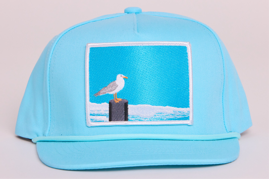 Seagull