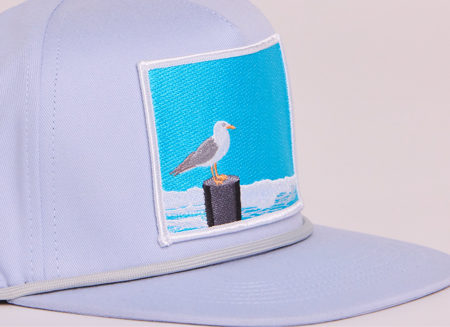 Seagull