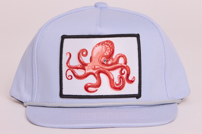 Octopus