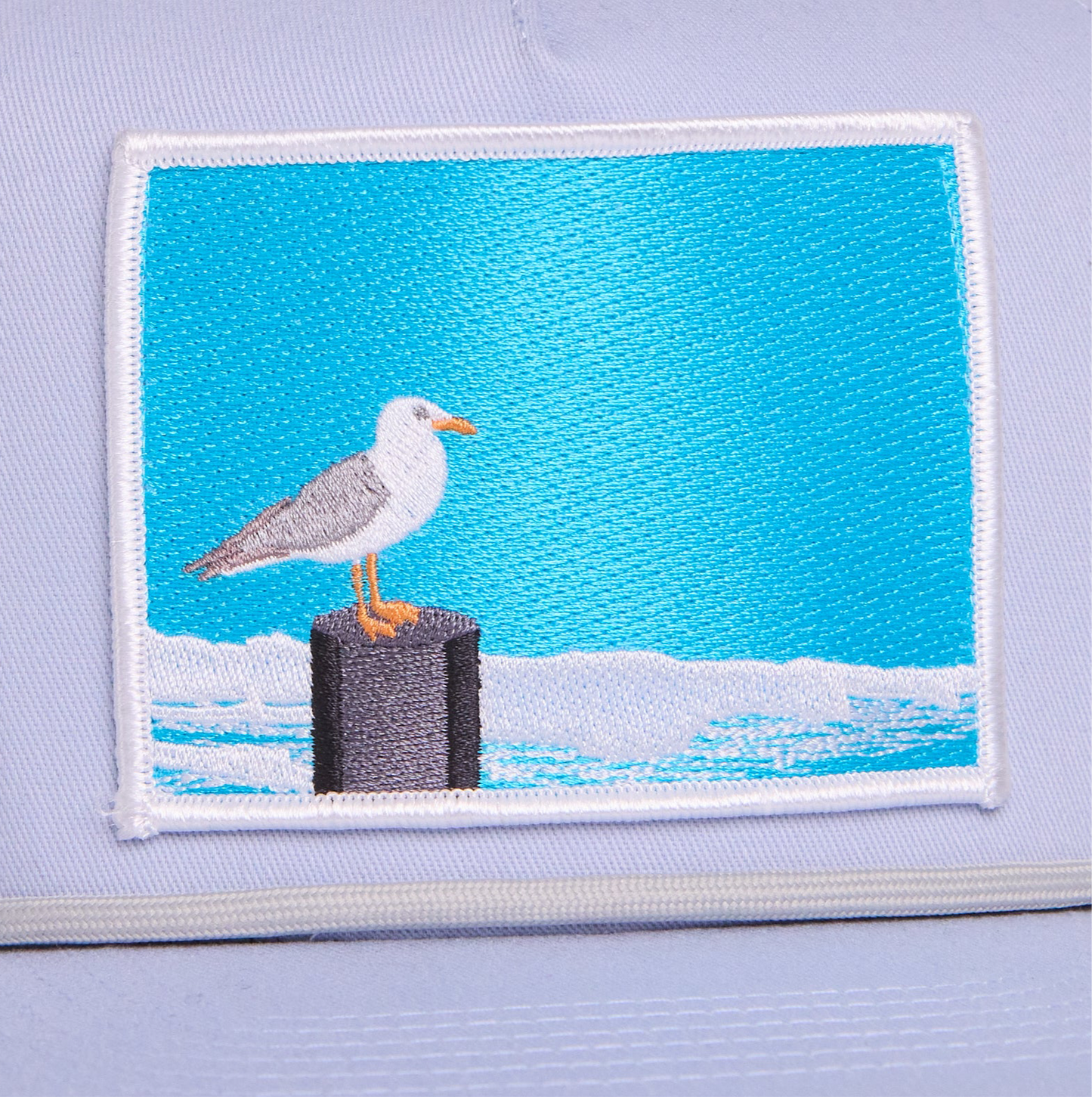 Seagull