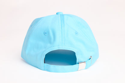 Hummingbird (Dad Hat)