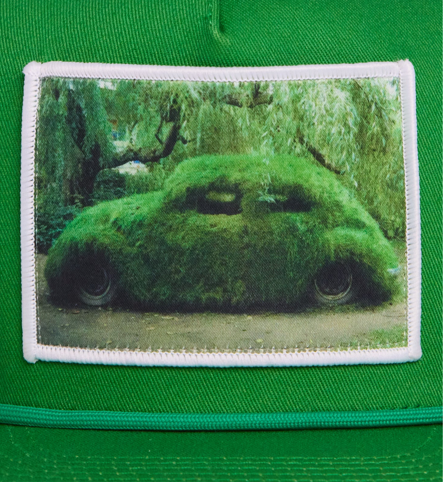 Grassy Love Bug