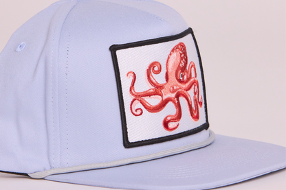 Octopus