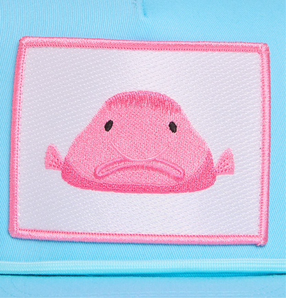 Blobfish