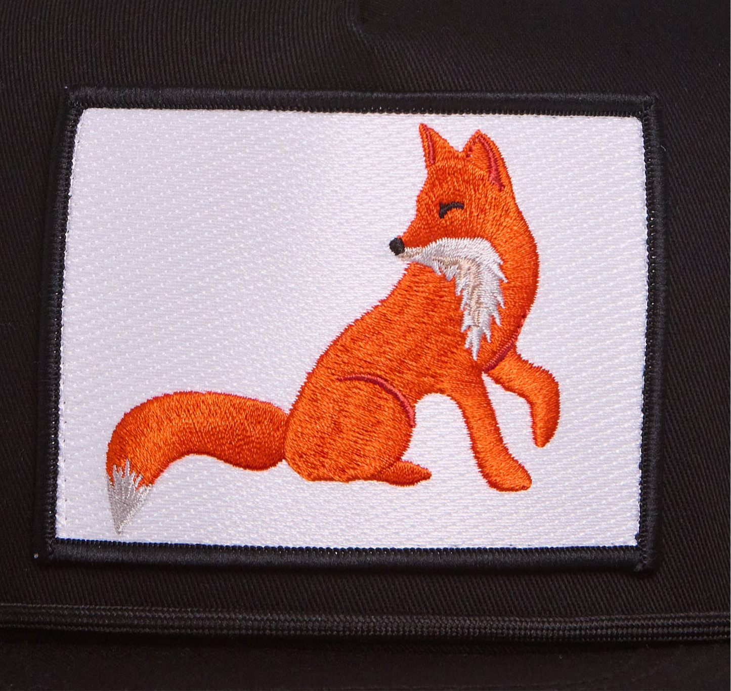 Fox in Profile