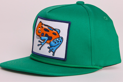 Poison Dart Frog