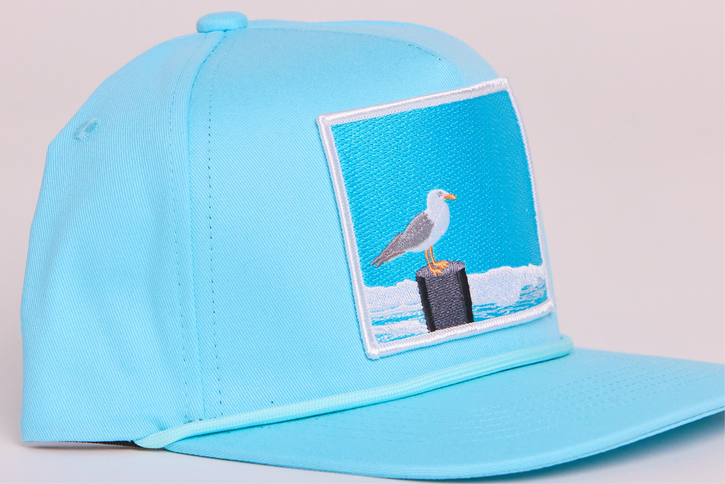 Seagull