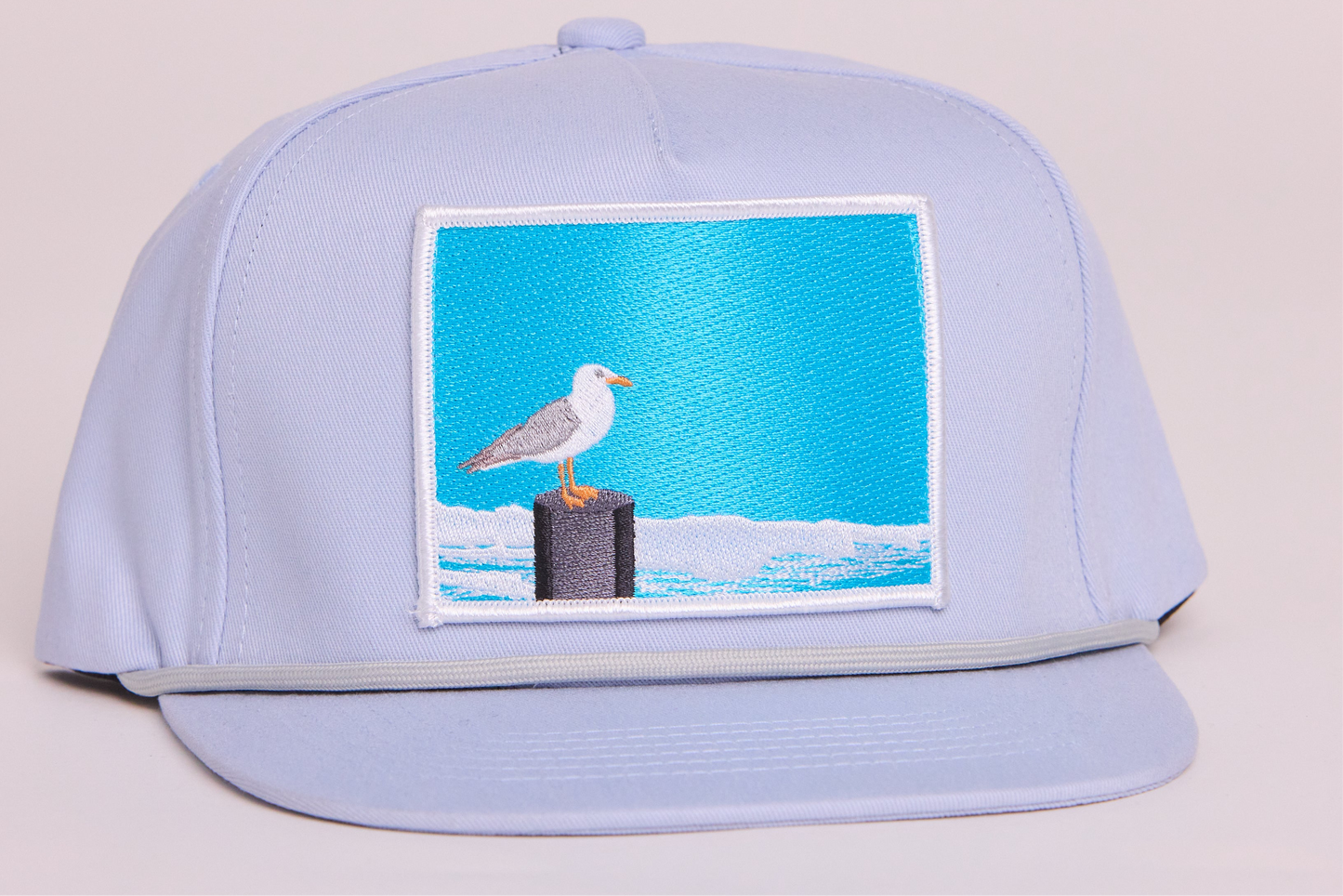 Seagull