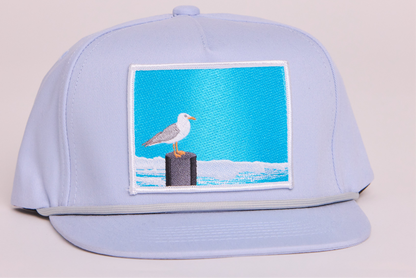 Seagull