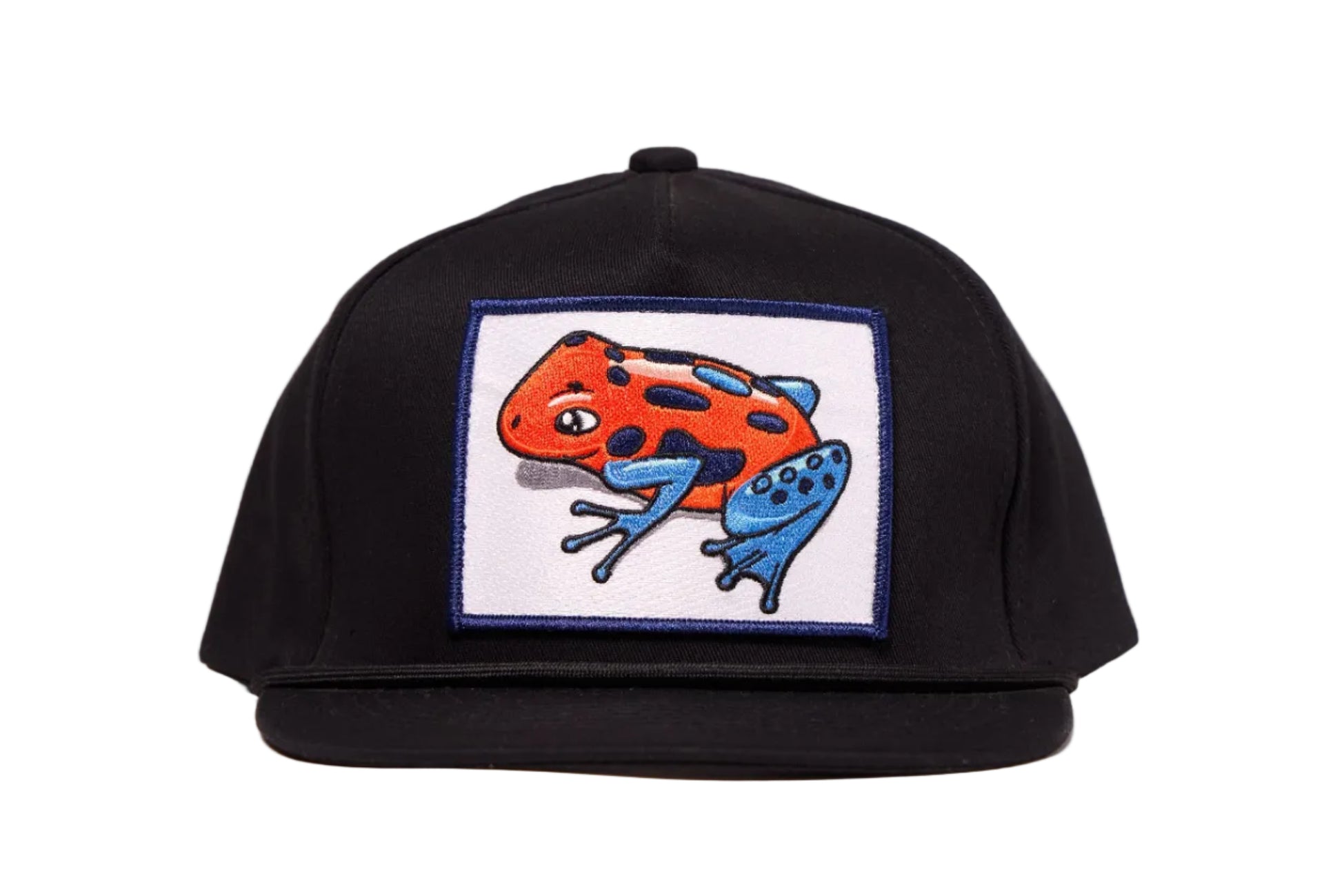 Black hat with a Poison Dart Frog embroidered patch