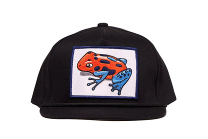 Black hat with a Poison Dart Frog embroidered patch