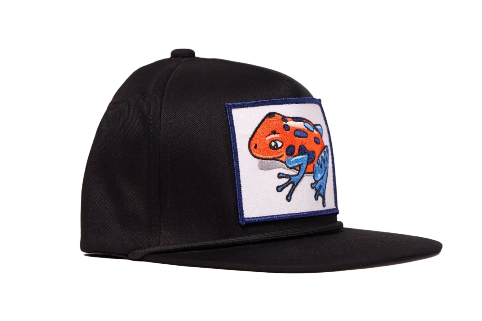 Black hat with a Poison Dart Frog embroidered patch