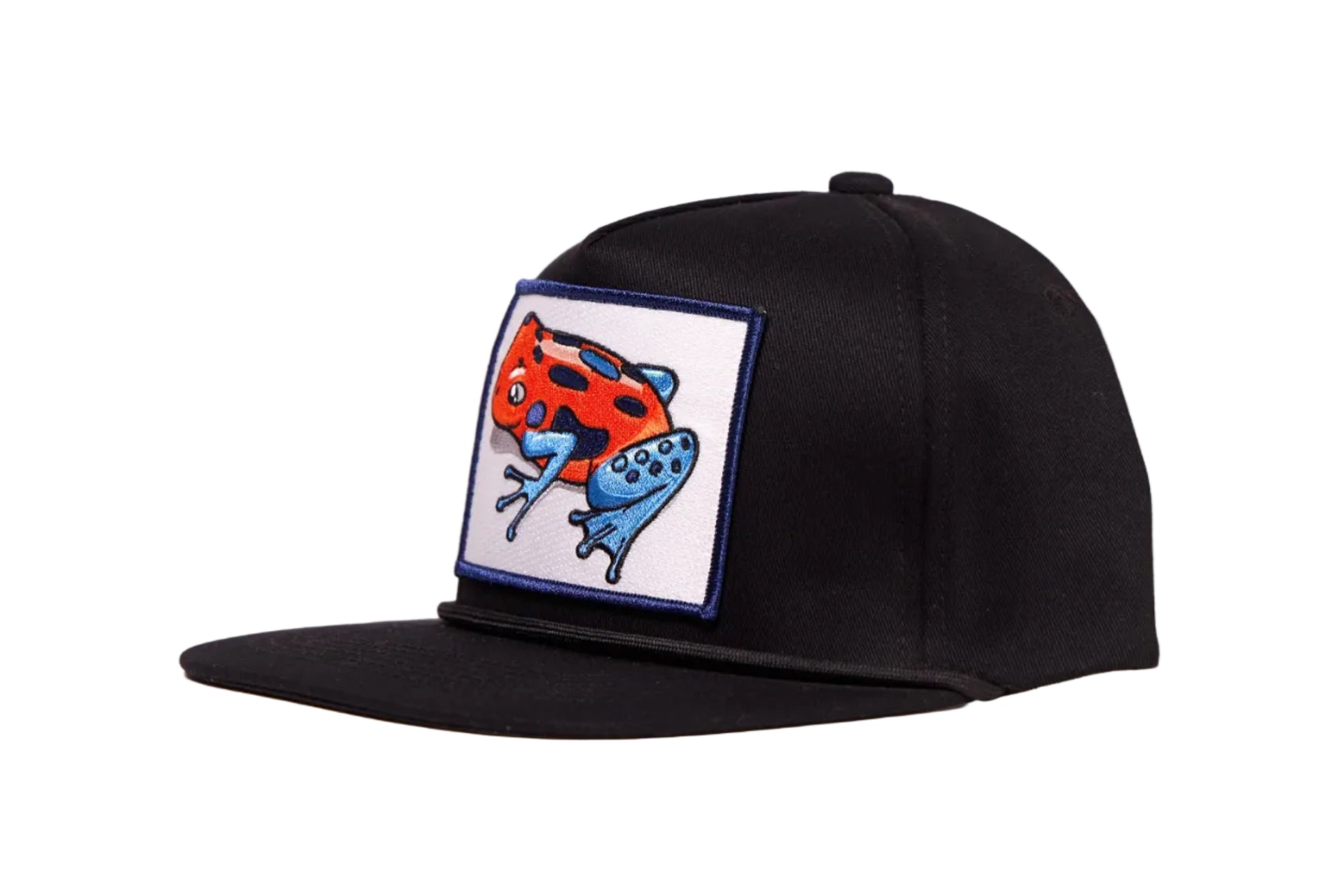 Black hat with a Poison Dart Frog embroidered patch