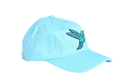 Baby blue unstructured dad hat with embroidered hummingbird design