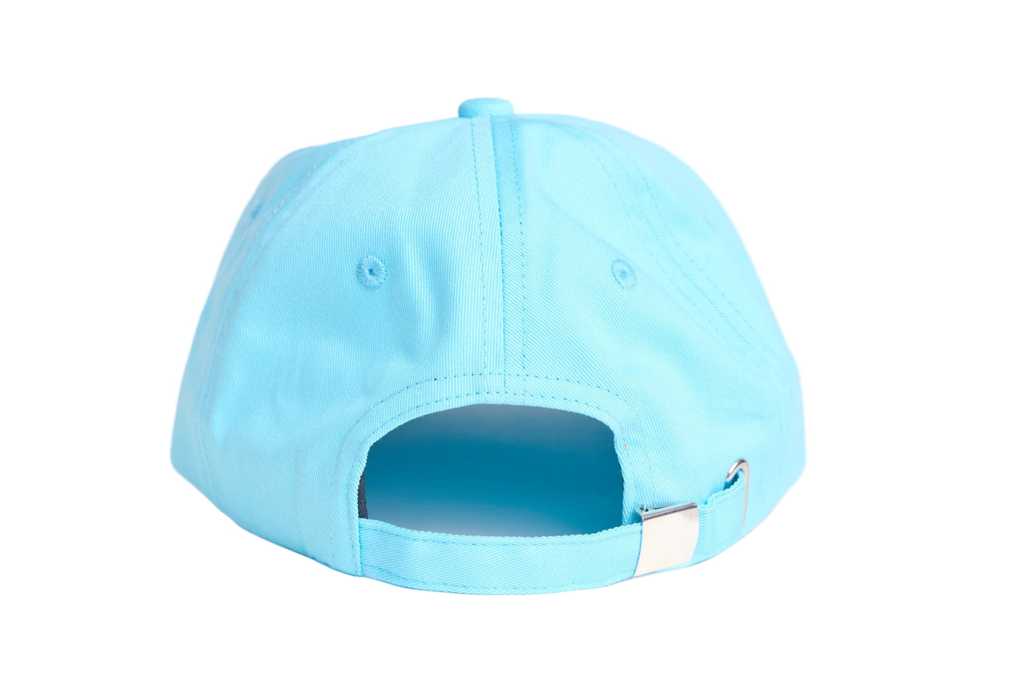Baby blue unstructured dad hat with embroidered hummingbird design