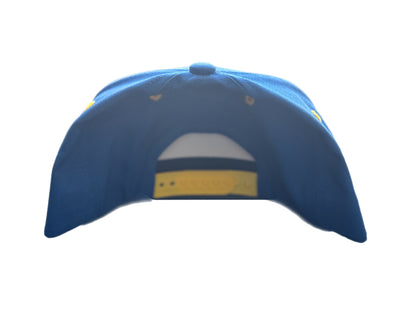 Rams - Puka Nacua Diving Catch