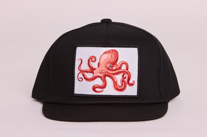 Octopus