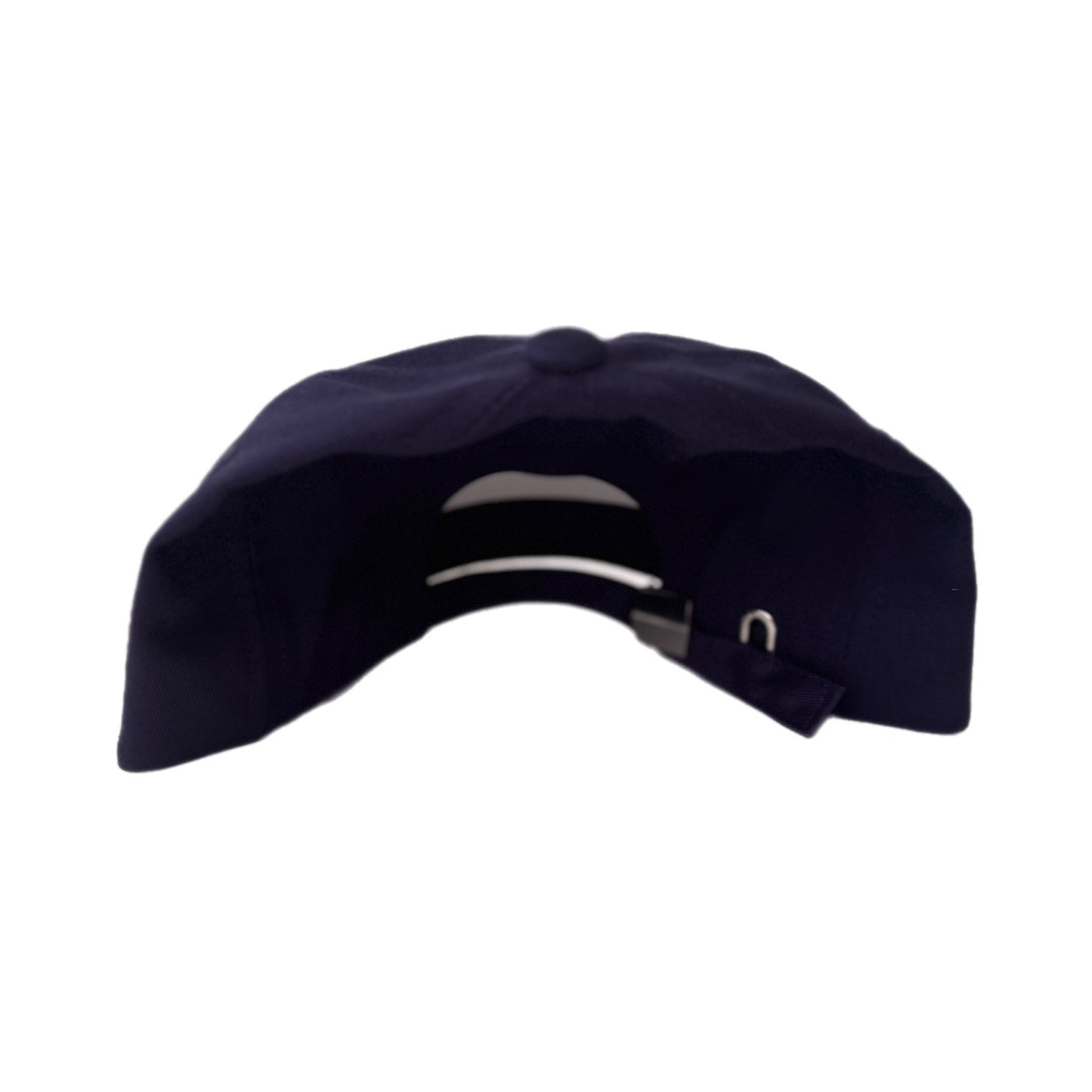 Octopus (Dad Hat)