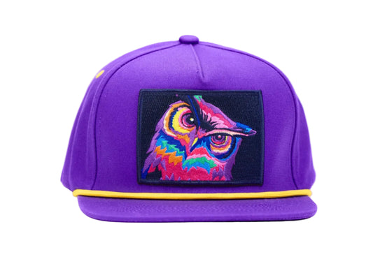 A purple flat-brim cap featuring a colorful embroidered owl patch on the front, with a thin yellow stripe along the edge of the brim, set against a plain white background.