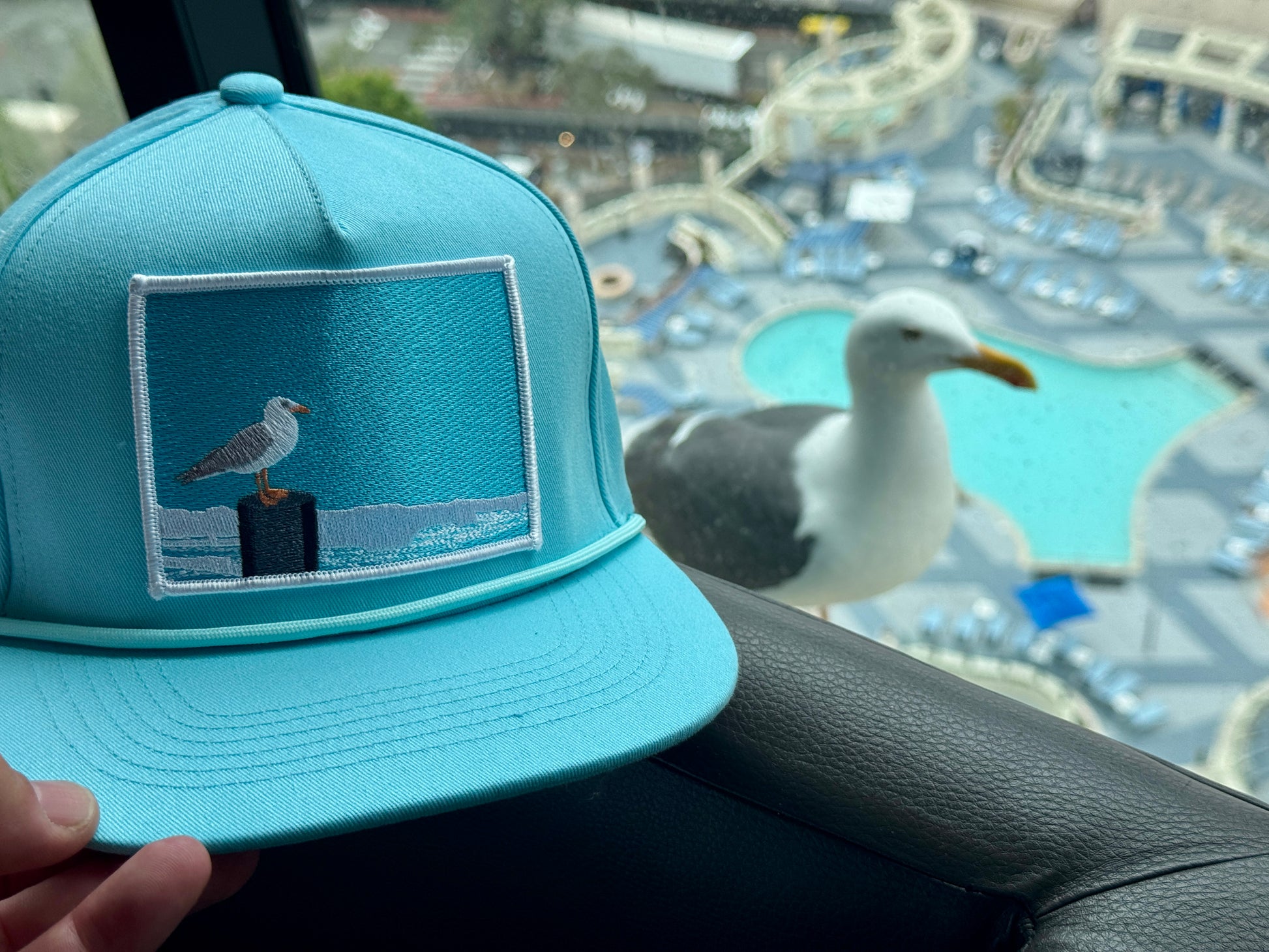 Turquioise ball cap with a light blue embroidered patch featuring a seagull design