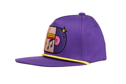 Purple hat with colorful embroidered graphic depicting a vinyl record album