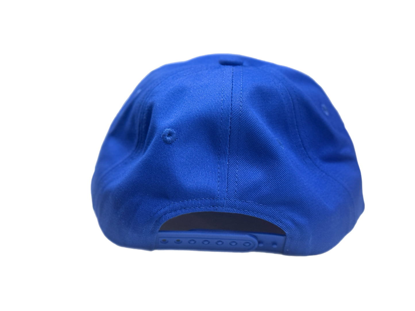 Blue youth-size dad hat featuring a 3-D embroidered whale